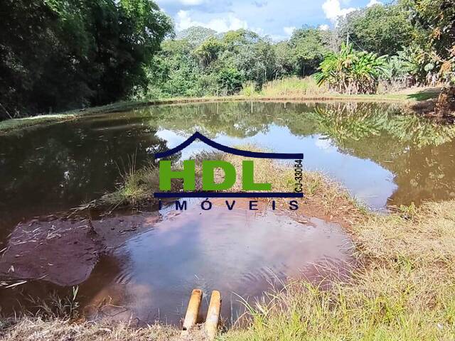 #FZ-355 - Fazenda para Venda em Santa Cruz de Goiás - GO