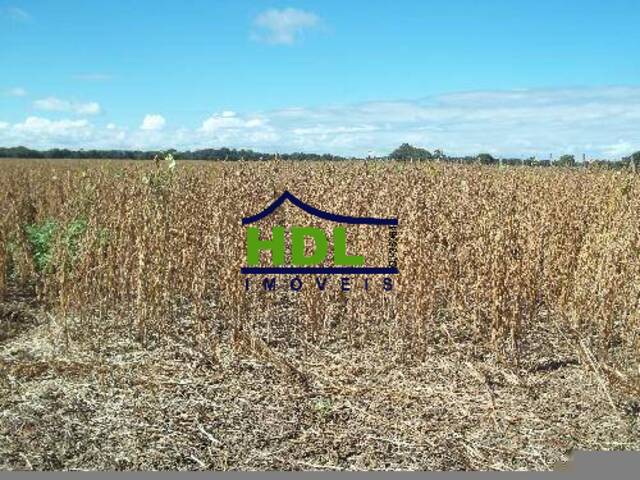 Fazenda para Venda em Vicentinópolis - 4