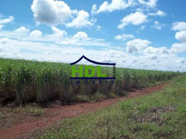 #131 - Fazenda para Venda em Vicentinópolis - 