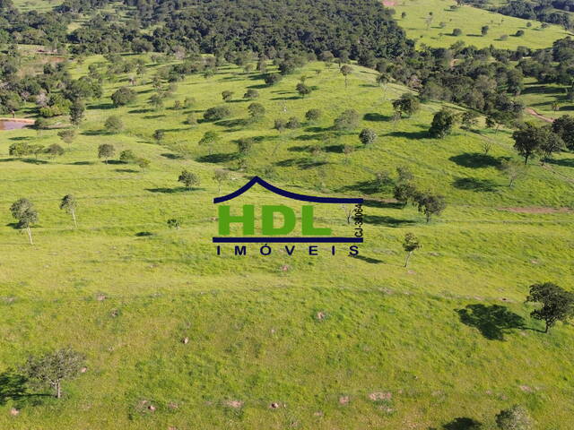 #FZ-326 - Fazenda para Venda em Cromínia - GO