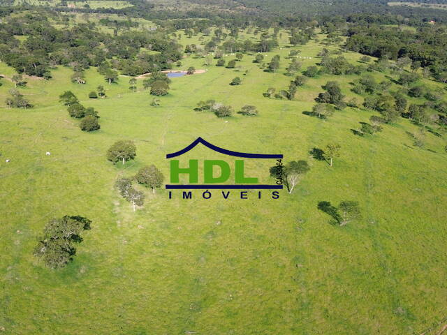 #FZ-326 - Fazenda para Venda em Cromínia - GO