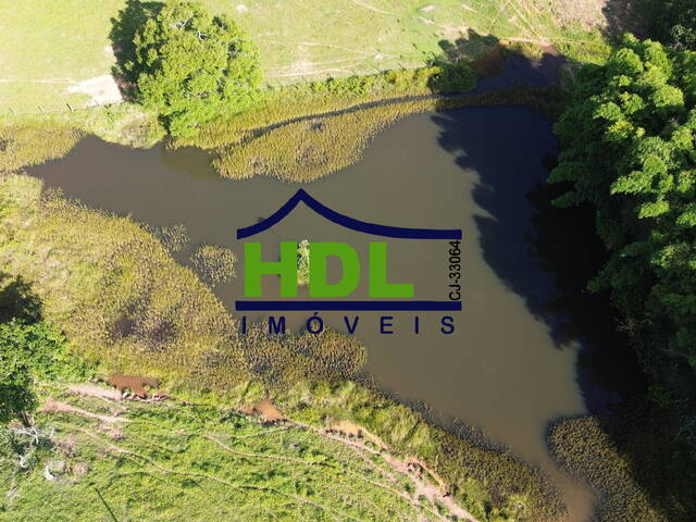 #FZ-327 - Fazenda para Venda em Cromínia - GO