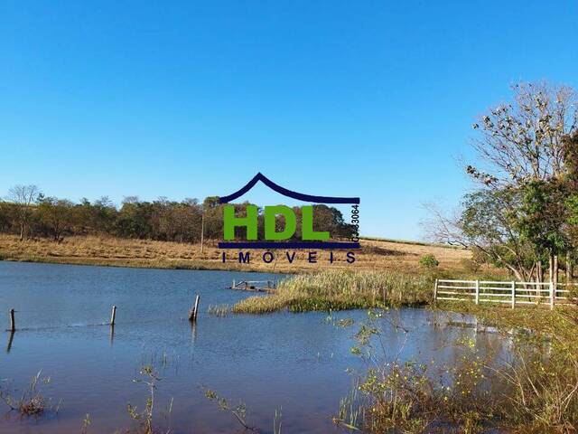 #FZ-333 - Fazenda para Venda em Quirinópolis - GO