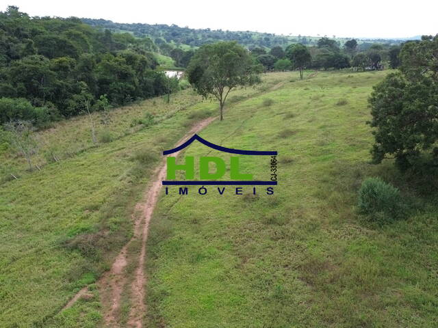 #FRZ-336 - Fazenda para Venda em Cromínia - GO