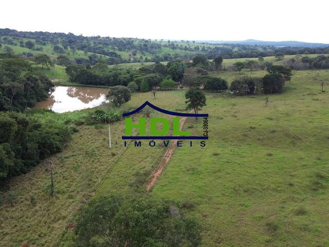 Fazenda para Venda em Cromínia - 4