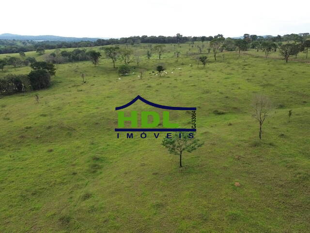 Fazenda para Venda em Cromínia - 5