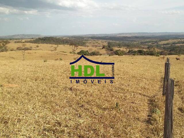 Fazenda para Venda em Hidrolândia - 4